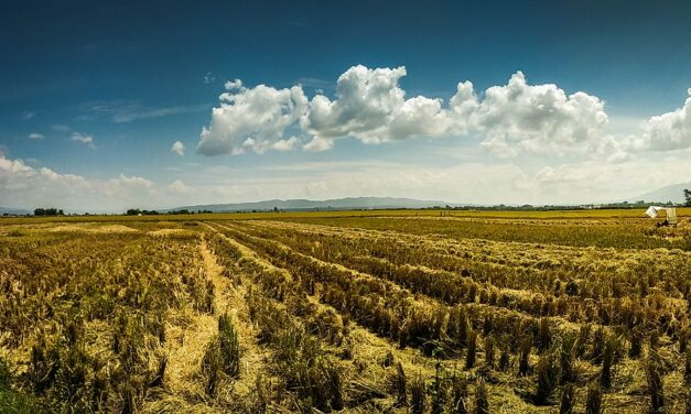 Water-efficient Irrigation Techniques ~ The Great Salt Lake: A Story…