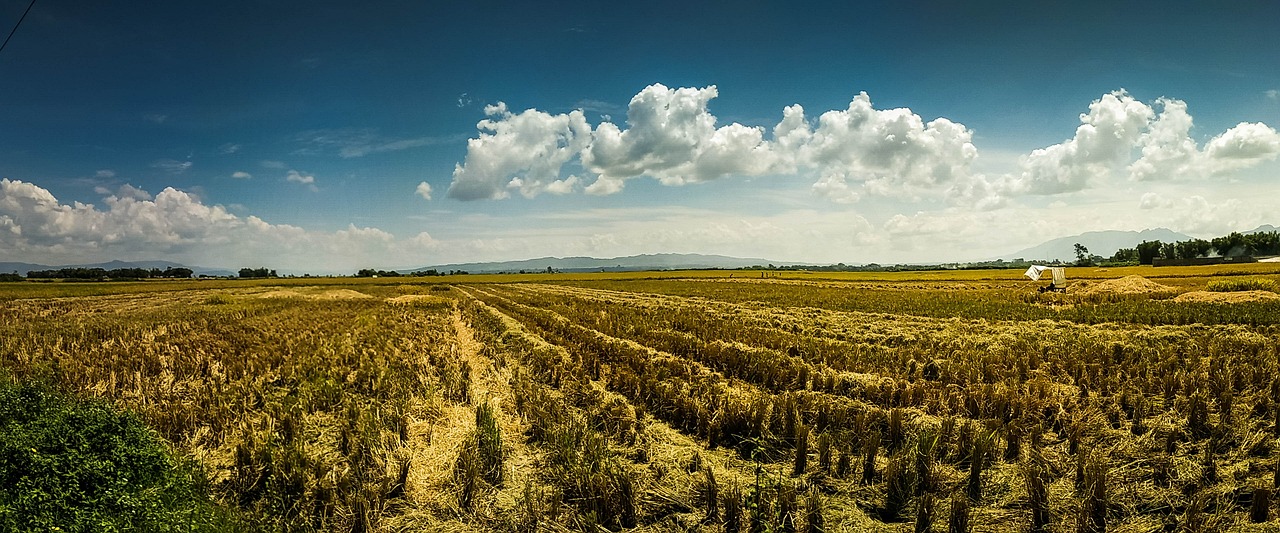 Water-efficient Irrigation Techniques ~ The Great Salt Lake: A Story…