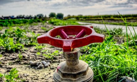 Water-efficient Irrigation Techniques ~ The Great Salt Lake: A Thirsty…