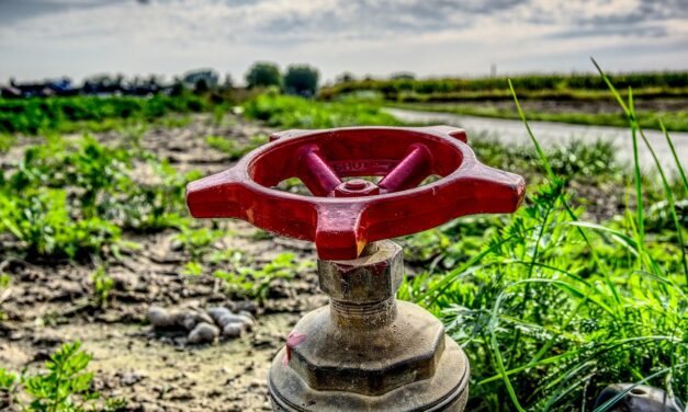 Water-efficient Irrigation Techniques ~ The Great Salt Lake: A Thirsty…