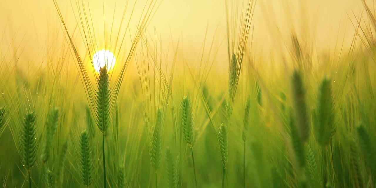 Water Scarcity Solutions For Agriculture » The Great Salt Lake:…