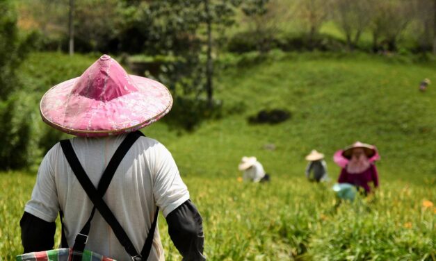 Water Scarcity Solutions For Agriculture » The Great Salt Lake:…