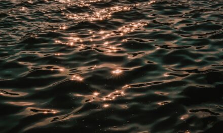 Causes Of Water Shortages | The Great Salt Lake: A…