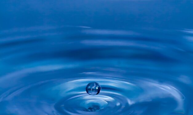 Causes Of Water Shortages » The Great Salt Lake: A…