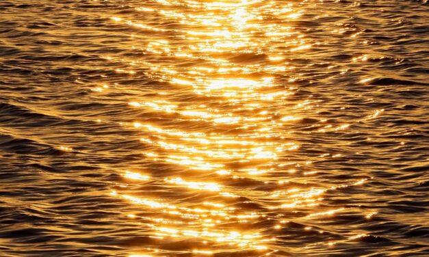 Causes Of Water Shortages: The Great Salt Lake: A Sea…