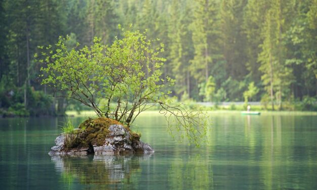 Climate Change And Its Effects On The Lake’s Water Levels:…