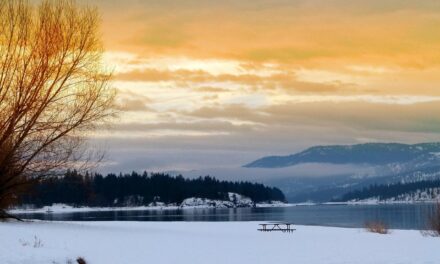 Current State Of The Lake And The Impact Of Water…
