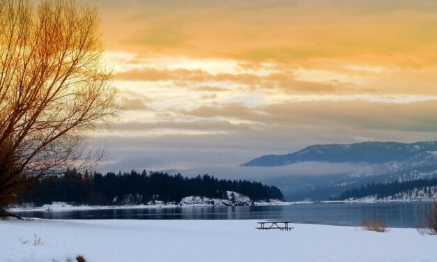 Current State Of The Lake And The Impact Of Water…