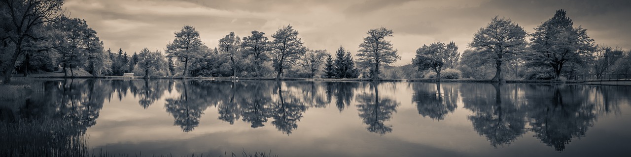 Current State Of The Lake And The Impact Of Water…
