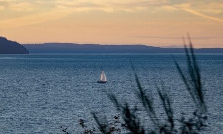 Current State Of The Lake And The Impact Of Water…