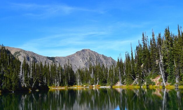 Current State Of The Lake And The Impact Of Water…