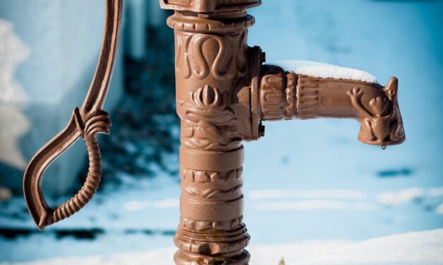 Drip Irrigation Solutions For Gardens: The Great Salt Lake: A…