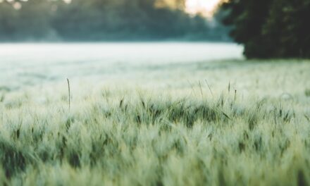 Ecological Research And Monitoring: Cover Ongoing Research And Monitoring Efforts…