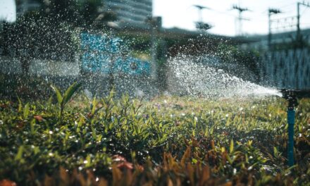Efficient Irrigation Systems For Farms » The Great Salt Lake:…