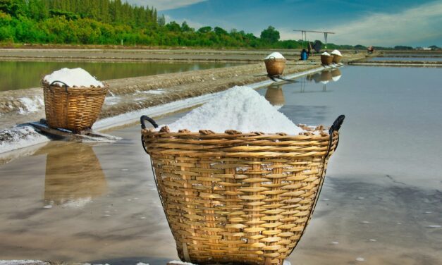 “Great Salt Lake Economic Impact” | The Great Salt Lake:…