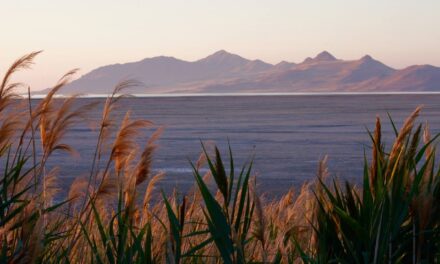 “Great Salt Lake Sustainable Agriculture”: The Great Salt Lake: A…