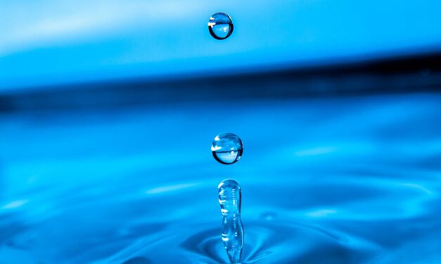 “Great Salt Lake Water Conservation Strategies” – Saving Our Salty…