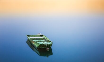Interstate And International Cooperation: Look Into The Collaboration Between Different…