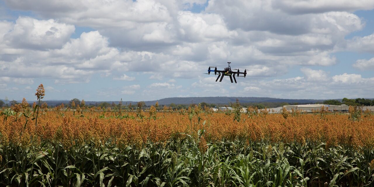 Precision Irrigation Techniques And Sustainable Watershed Management – The Great…