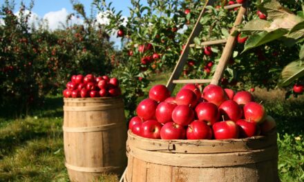 Smart Irrigation Technology For Agriculture: The Great Salt Lake: A…