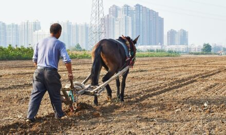 Smart Irrigation Technology For Agriculture ~ The Great Salt Lake:…