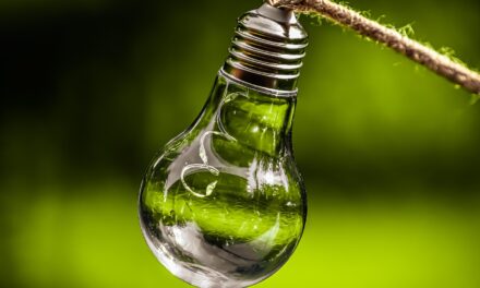 Strategies For Long-term Sustainability And Resilience ~ The Great Salt…