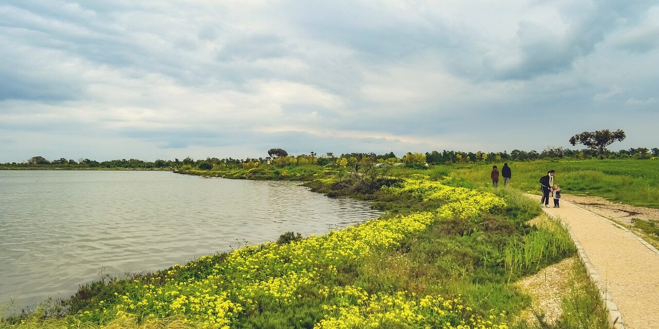 Technological Innovations: New Technologies And Methods For Water Management And…