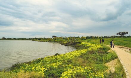 Technological Innovations: New Technologies And Methods For Water Management And…