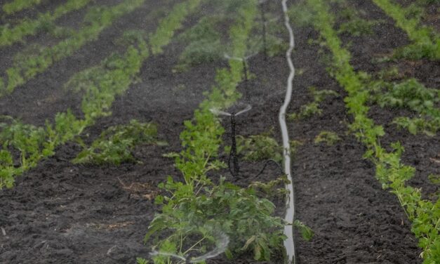 Drip Irrigation Solutions For Gardens » The Great Salt Lake:…