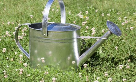 Drip Irrigation Solutions For Gardens / The Great Salt Lake:…