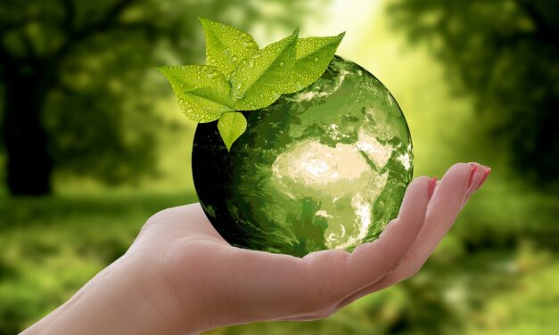 Ecological Research And Monitoring: Cover Ongoing Research And Monitoring Efforts…