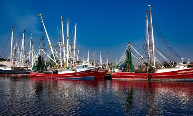 Economic Consequences For Industries Like Recreation, Mining, And Brine Shrimp…