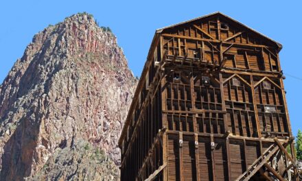 Economic Consequences For Industries Like Recreation, Mining, And Brine Shrimp…