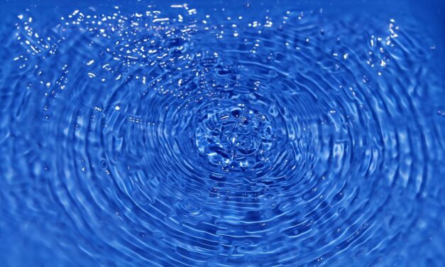 Effective Water Conservation Techniques | The Great Salt Lake: A…