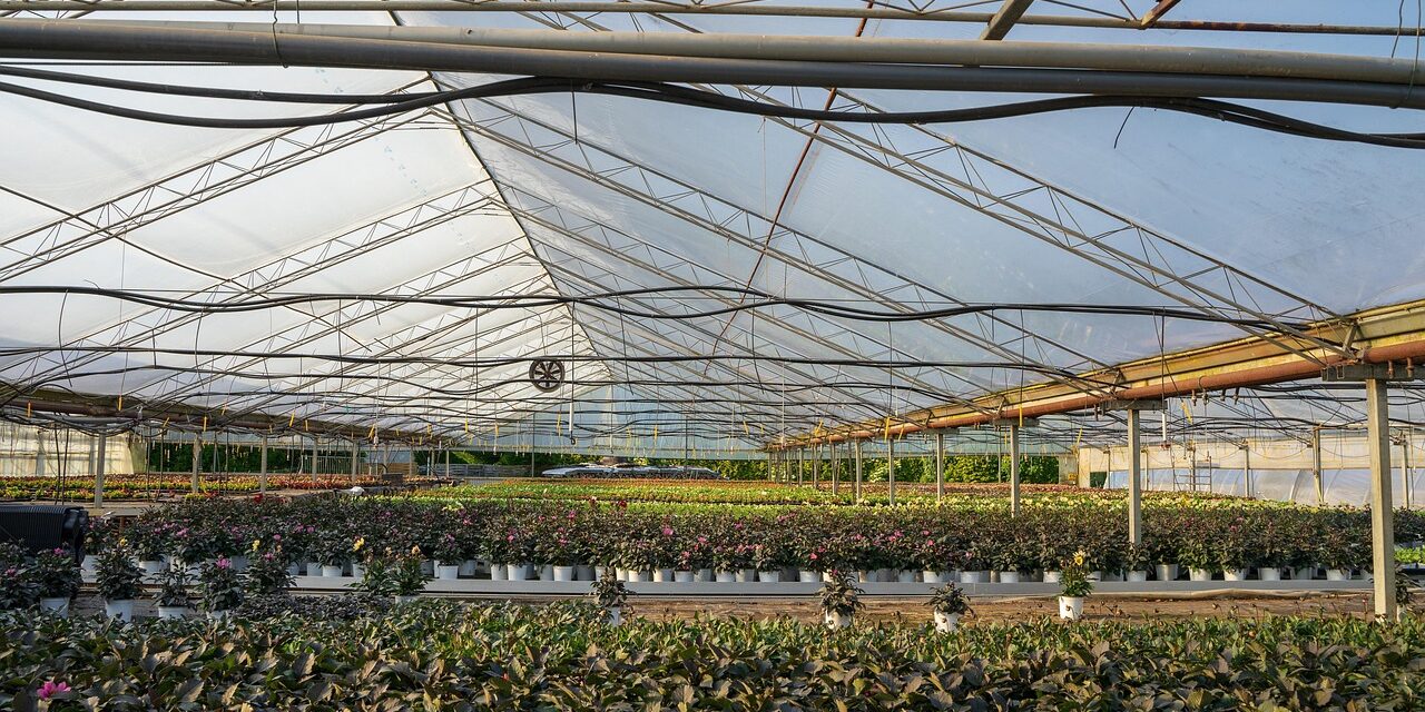 Efficient Irrigation Systems For Farms: The Great Salt Lake: A…