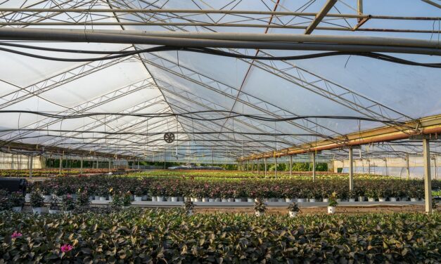 Efficient Irrigation Systems For Farms: The Great Salt Lake: A…