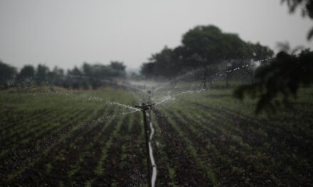 Efficient Irrigation Systems For Farms: The Great Salt Lake: A…