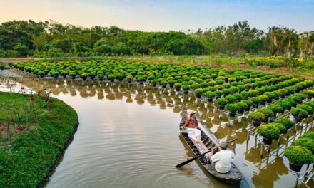 Efficient Irrigation Systems For Farms » The Great Salt Lake:…