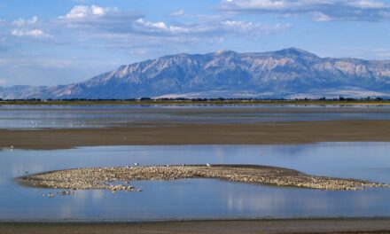 Great Salt Lake – Water Cycle Solutions / The Great…