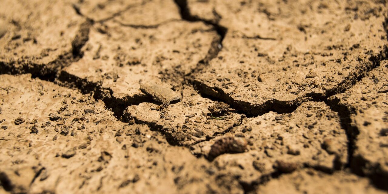 “Great Salt Lake Long-term Sustainability”: The Great Salt Lake: A…