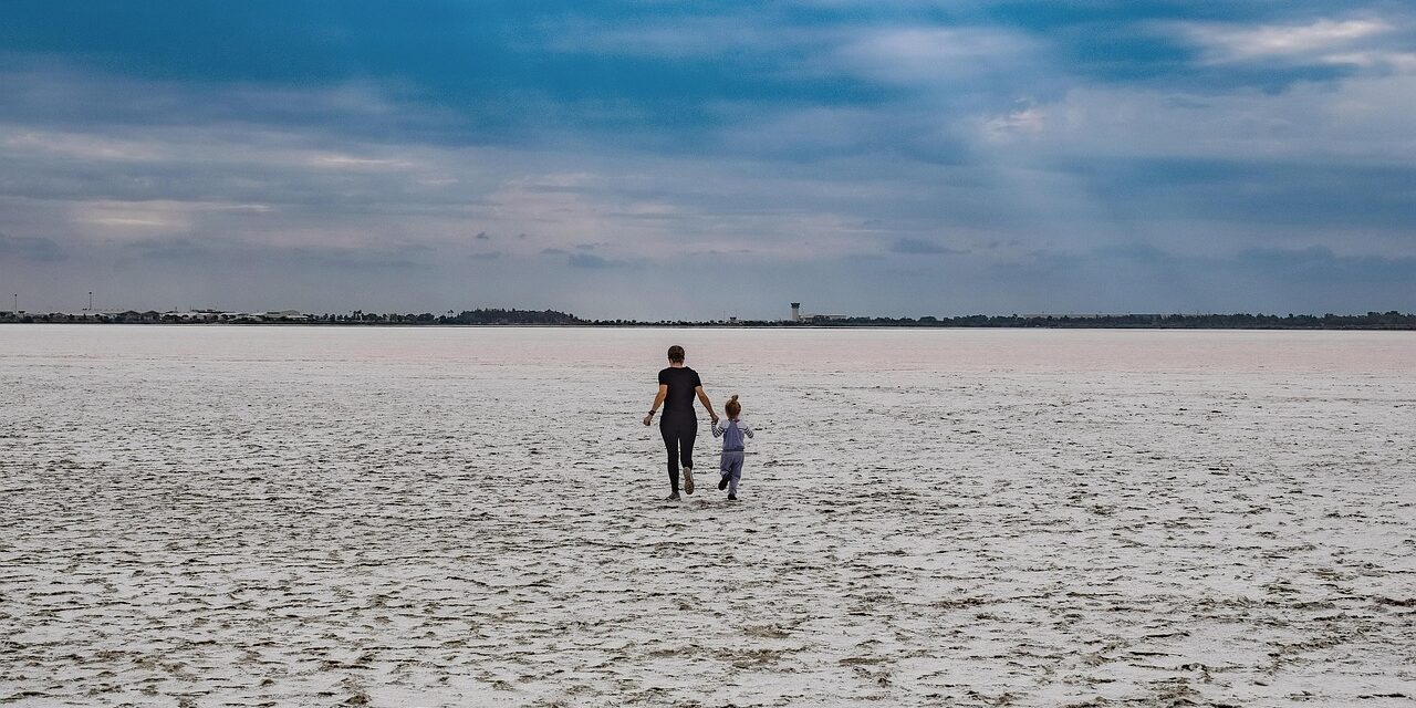 “Great Salt Lake Long-term Sustainability”: The Great Salt Lake: A…