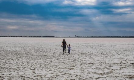 “Great Salt Lake Long-term Sustainability”: The Great Salt Lake: A…