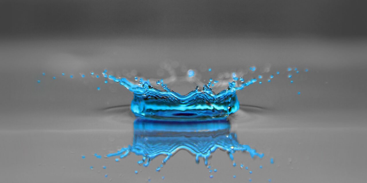 “Great Salt Lake Water Conservation Strategies”: The Great Salt Lake:…