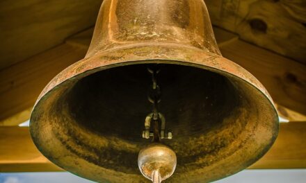 Public Awareness Campaigns And Educational Programs | The Great Salt…