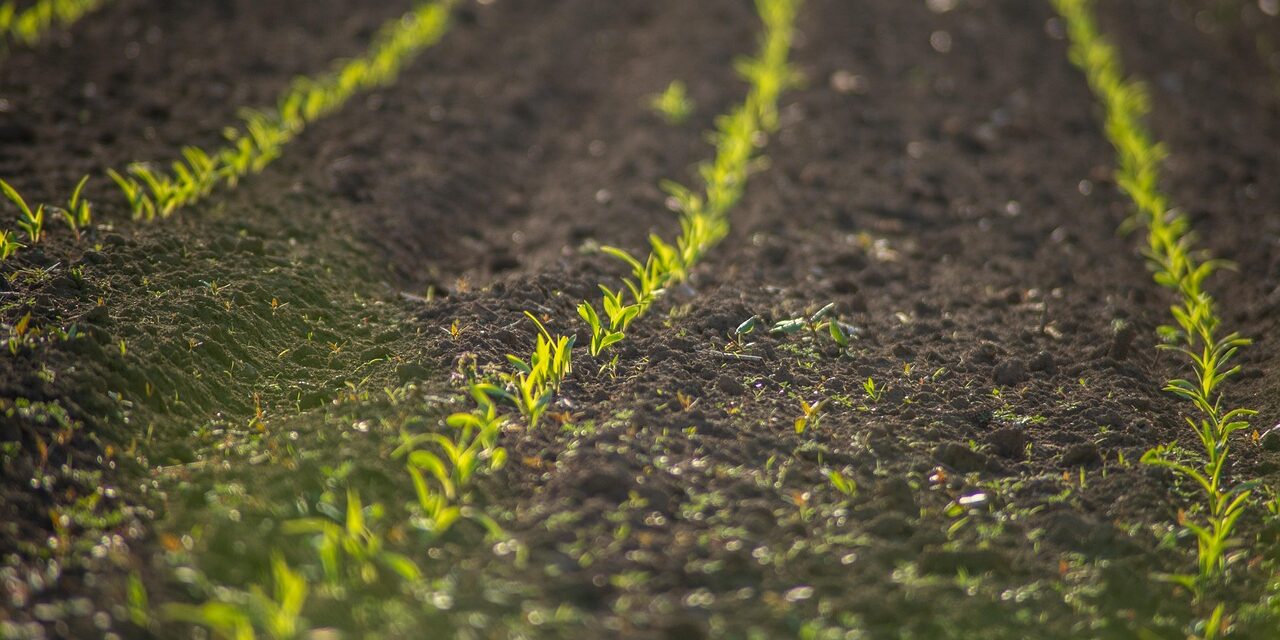 Sustainable Agriculture Practices » The Great Salt Lake: A Story…