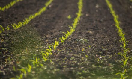 Sustainable Agriculture Practices » The Great Salt Lake: A Story…
