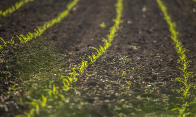Sustainable Agriculture Practices » The Great Salt Lake: A Story…