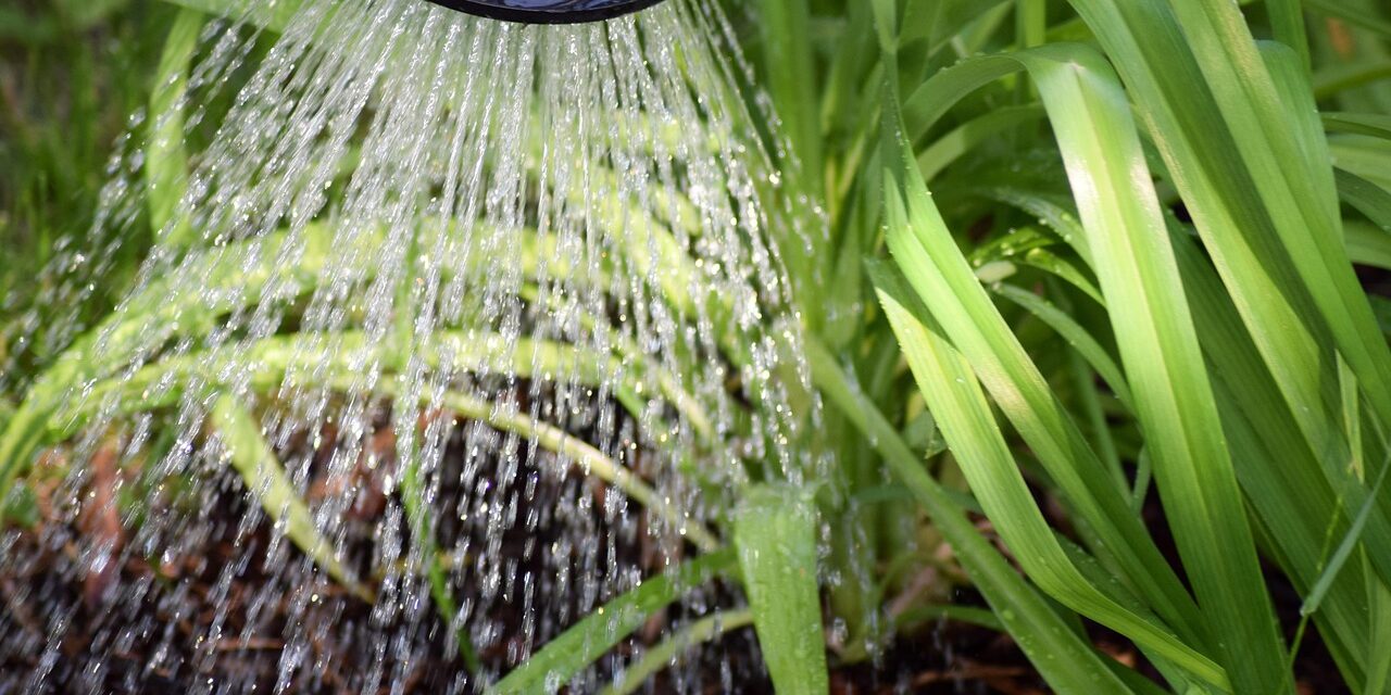 Water-efficient Irrigation Techniques » The Great Salt Lake: A Lake…