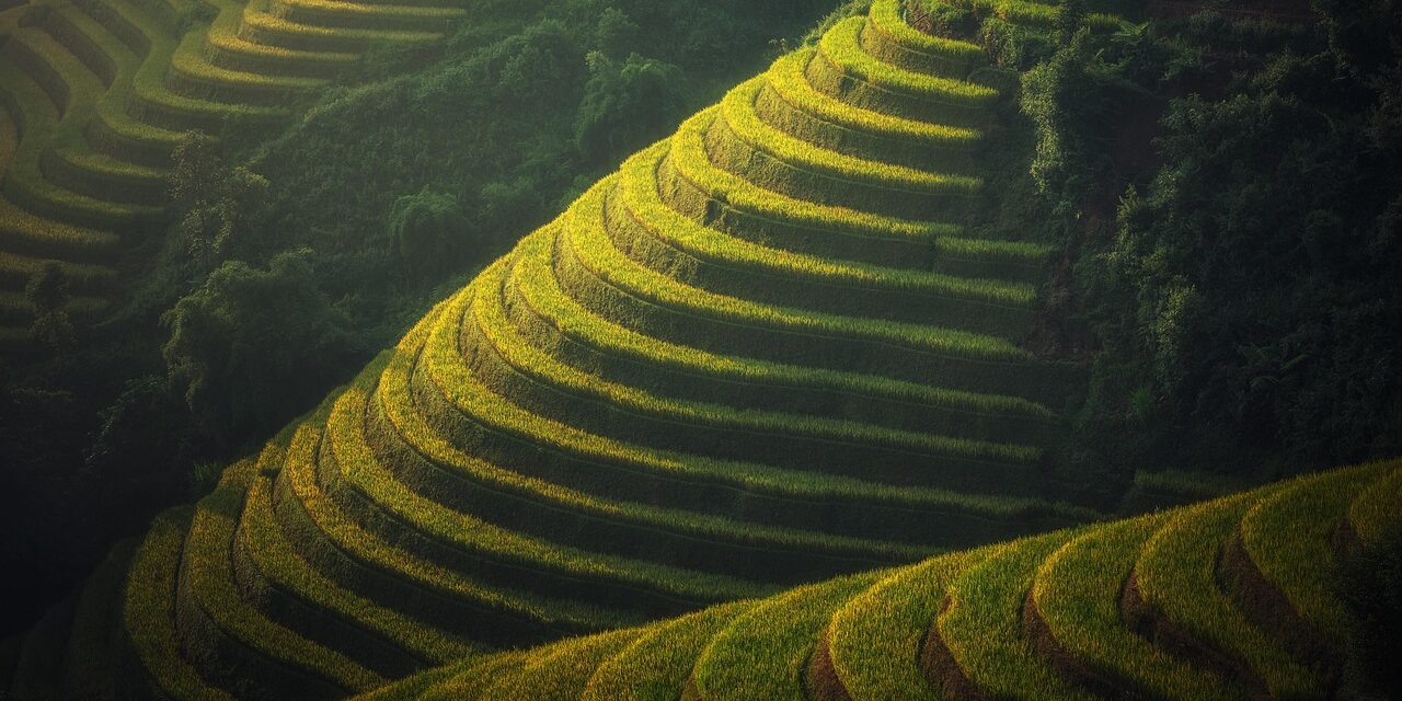 Water Scarcity Solutions For Agriculture » Saving The Great Salt…