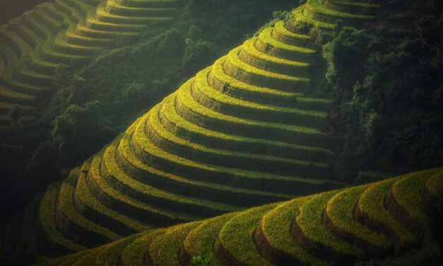 Water Scarcity Solutions For Agriculture » Saving The Great Salt…